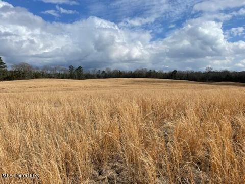 3228 King Rd, Forest, MS 39074 photo 4