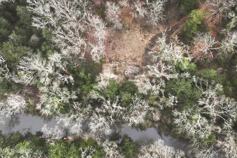 21481 Riverline Rd, Saucier, MS 39574 photo 1