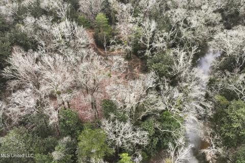 21481 Riverline Rd, Saucier, MS 39574 photo 5