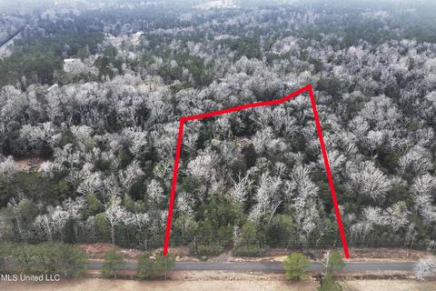 21481 Riverline Rd, Saucier, MS 39574 photo 10