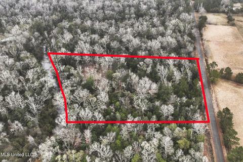 21481 Riverline Rd, Saucier, MS 39574 photo 2