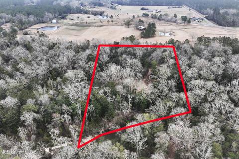 21481 Riverline Rd, Saucier, MS 39574 photo 8