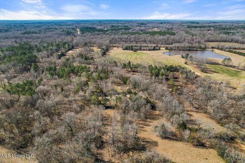 2528 Owens Rd, Terry, MS 39170 photo 10