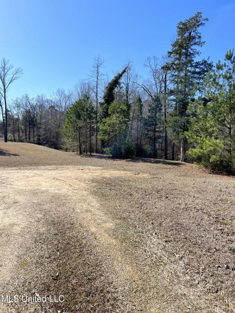 3394 Star Rd, Florence, MS 39073 photo 4