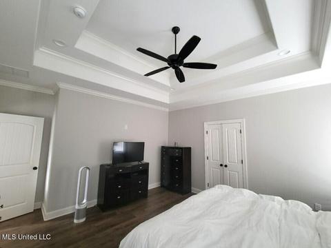 3806 Madison Rdg, Hernando, MS 38632 photo 20