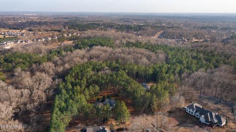 113 S Glen Pl, Madison, MS 39110 photo 89