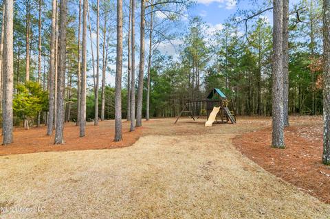 113 S Glen Pl, Madison, MS 39110 photo 79