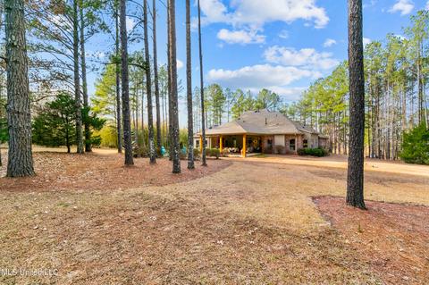 113 S Glen Pl, Madison, MS 39110 photo 81