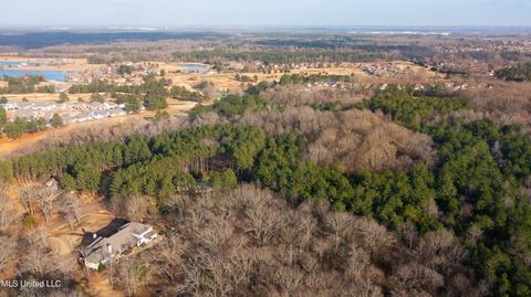 113 S Glen Pl, Madison, MS 39110 photo 90