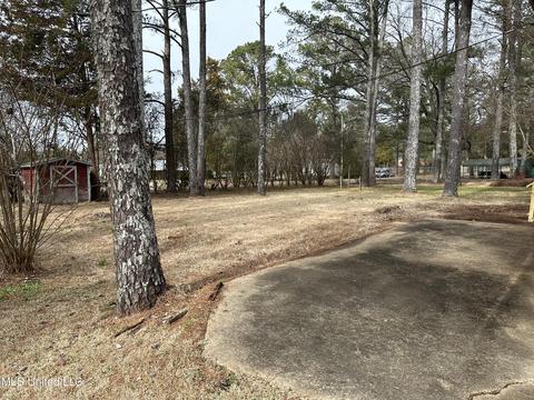 19 Pinecrest Dr, Macon, MS 39341 photo 14