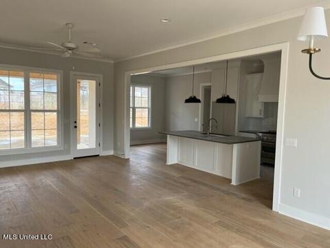 110 Seymour Dr, Madison, MS 39110 photo 2