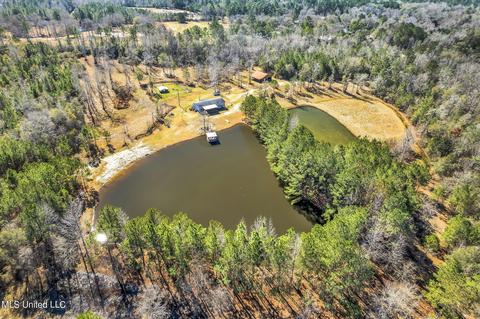 156 Glover Rd, Poplarville, MS 39470