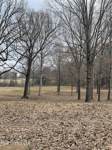 953 Walker Rd, Coldwater, MS 38618 photo 11