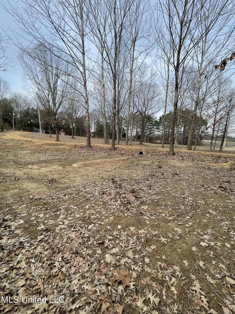953 Walker Rd, Coldwater, MS 38618 photo 14