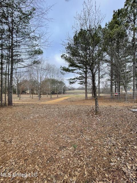953 Walker Rd, Coldwater, MS 38618 photo 15