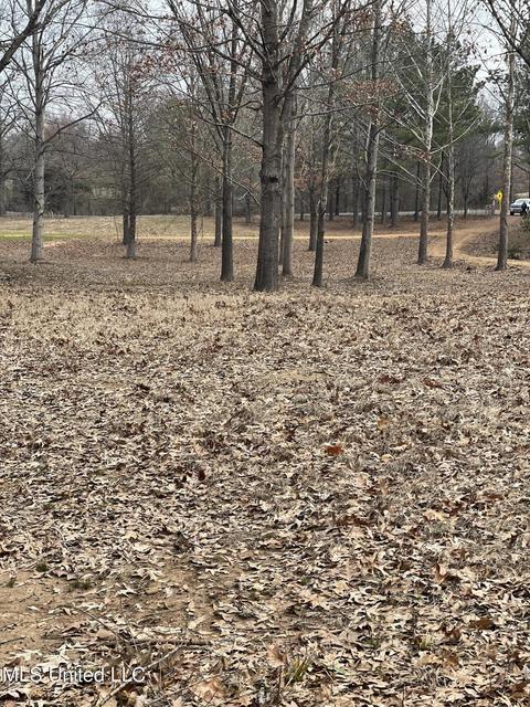 953 Walker Rd, Coldwater, MS 38618 photo 13