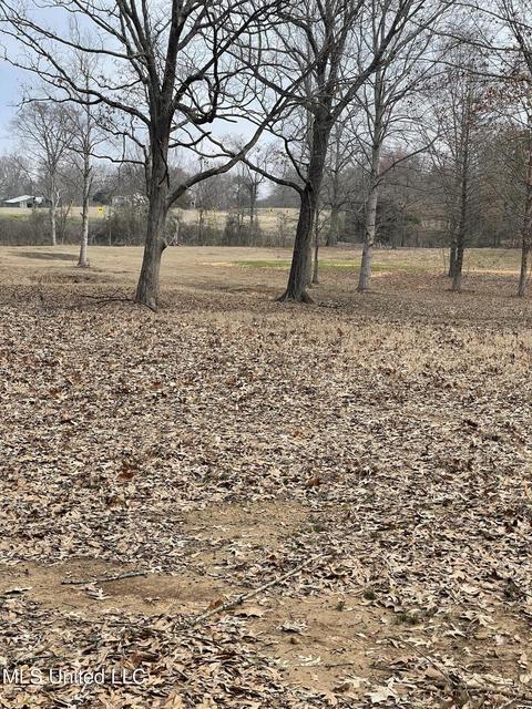 953 Walker Rd, Coldwater, MS 38618 photo 12