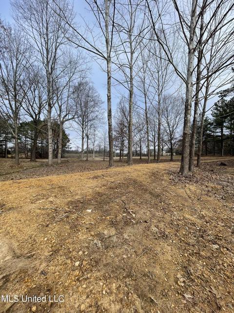 953 Walker Rd, Coldwater, MS 38618 photo 6
