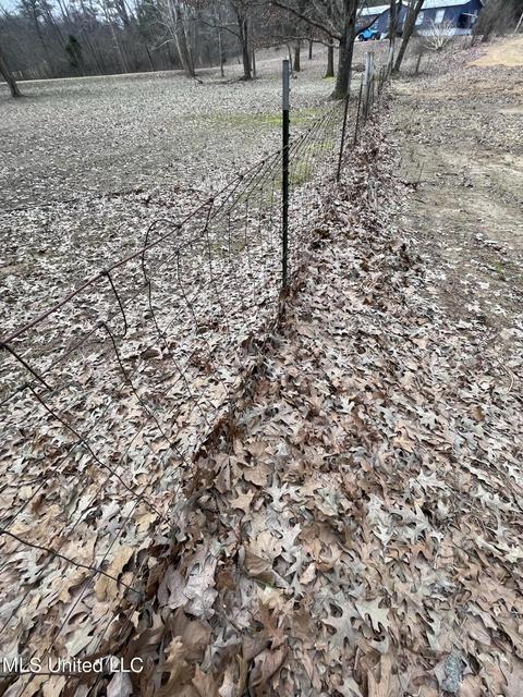 953 Walker Rd, Coldwater, MS 38618 photo 3