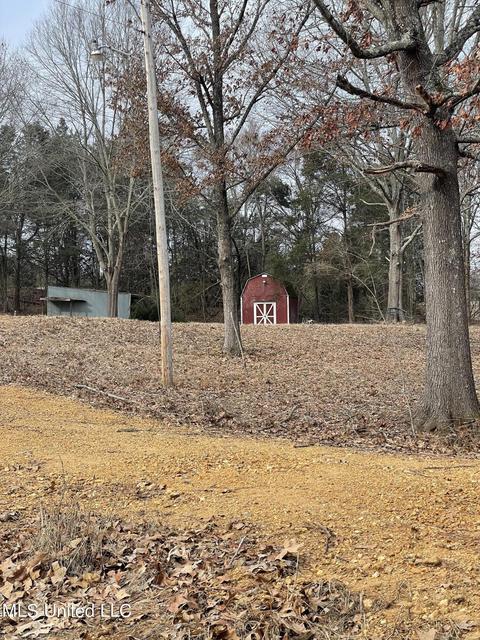 953 Walker Rd, Coldwater, MS 38618 photo 7
