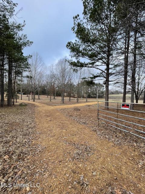 953 Walker Rd, Coldwater, MS 38618 photo 1