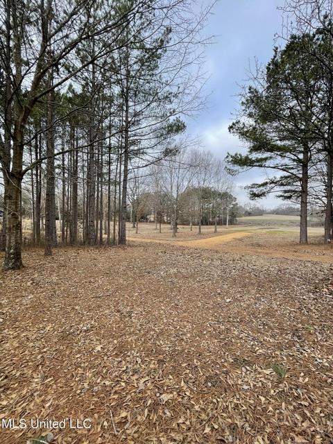 953 Walker Rd, Coldwater, MS 38618 photo 4