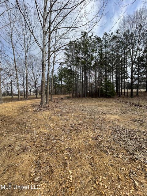 953 Walker Rd, Coldwater, MS 38618 photo 10