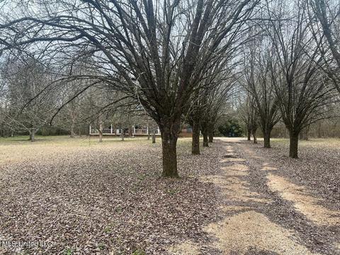 219 Quail Holw, Canton, MS 39046 photo 7