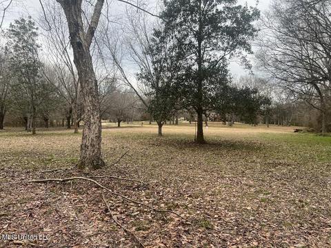219 Quail Holw, Canton, MS 39046 photo 5