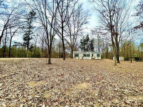 8419 Ms-433, Benton, MS 39039 photo 2