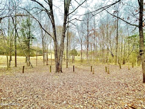 8419 Ms-433, Benton, MS 39039 photo 9