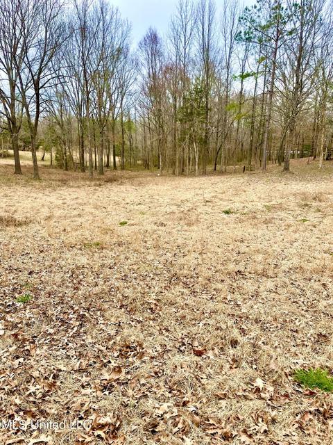 8419 Ms-433, Benton, MS 39039 photo 5