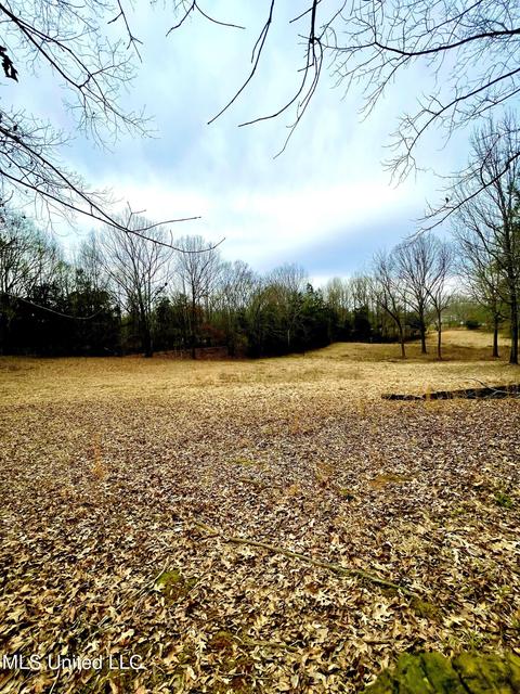 8419 Ms-433, Benton, MS 39039 photo 3