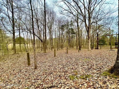 8419 Ms-433, Benton, MS 39039 photo 10