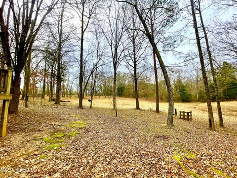 8419 Ms-433, Benton, MS 39039 photo 12