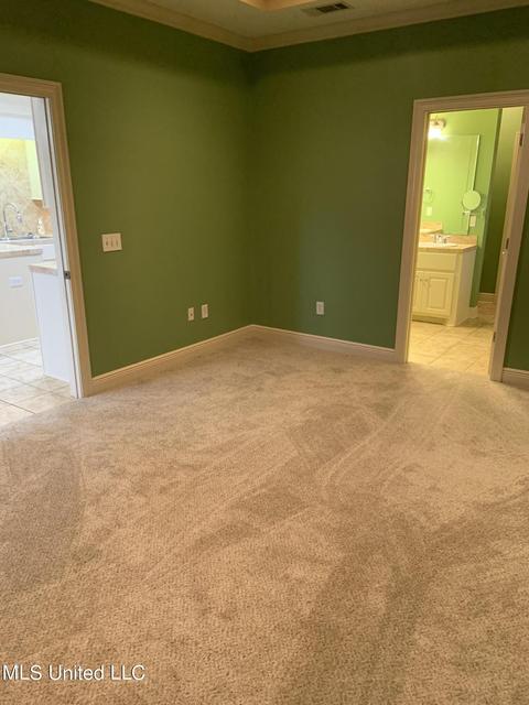 410 Ryan Dr, Brandon, MS 39047 photo 50