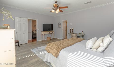 304 Long Cove Dr, Madison, MS 39110 photo 49