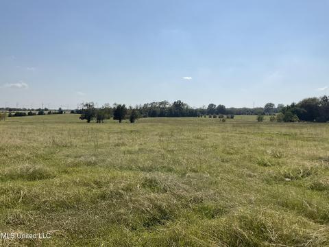 1102 Old Jackson Rd, Canton, MS 39046 photo 1