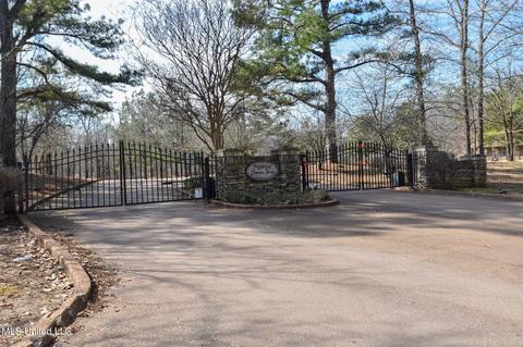 4710 Eiffel Ln, Nesbit, MS 38651 photo 4