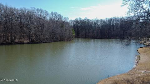 4710 Eiffel Ln, Nesbit, MS 38651 photo 16