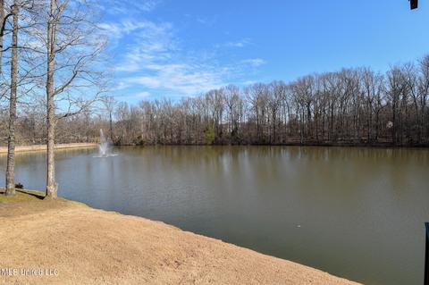 4710 Eiffel Ln, Nesbit, MS 38651 photo 34