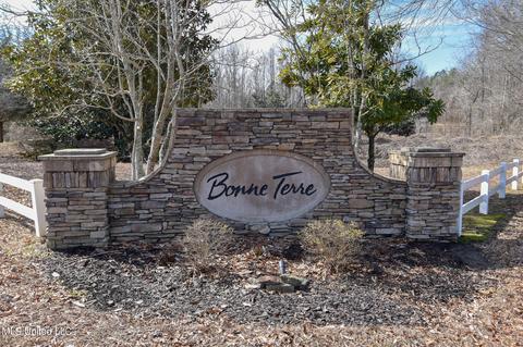 4710 Eiffel Ln, Nesbit, MS 38651 photo 3