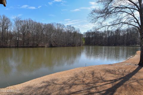 4710 Eiffel Ln, Nesbit, MS 38651 photo 35