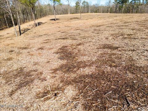 5501 Us-80, Jackson, MS 39209 photo 8