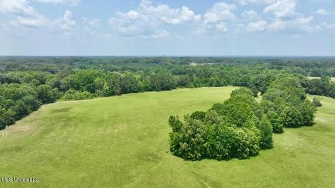 002 Mccullough Ln, Flora, MS 39071 photo 30