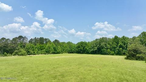 002 Mccullough Ln, Flora, MS 39071 photo 24