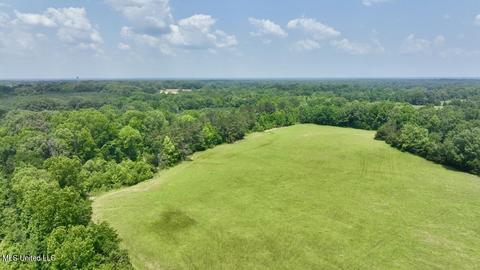 002 Mccullough Ln, Flora, MS 39071 photo 5