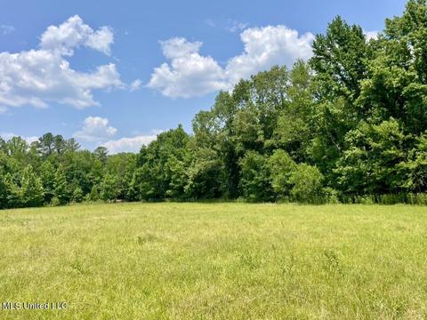 002 Mccullough Ln, Flora, MS 39071 photo 29