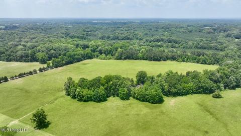 002 Mccullough Ln, Flora, MS 39071 photo 27