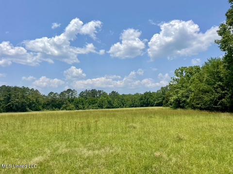 002 Mccullough Ln, Flora, MS 39071 photo 14